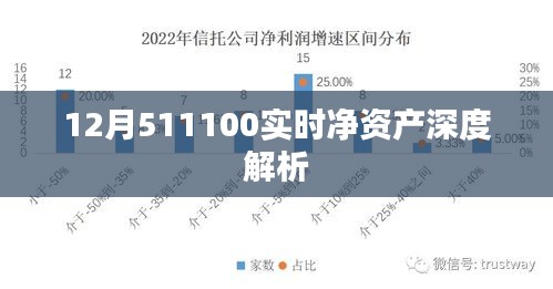 实时解析，12月511100净值深度解读