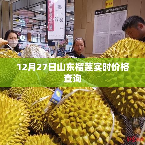 山东榴莲最新实时价格查询（12月27日）