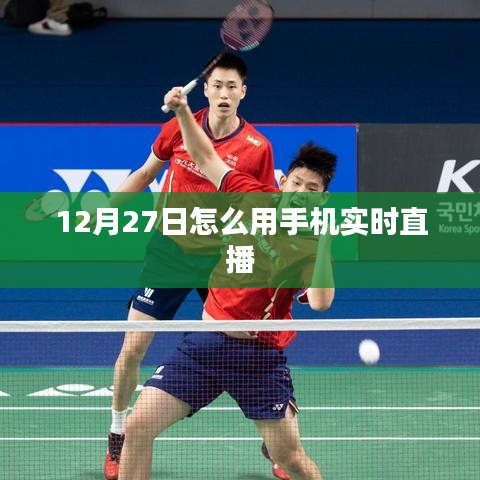 12月27日手机直播教程，实时直播轻松上手