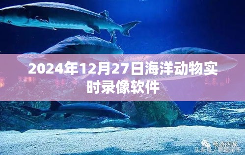 2024年海洋动物实时录像软件，记录深海奇观