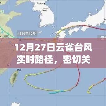 台风云雀实时路径更新，关注安全，防御风险