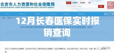 长春医保实时报销查询指南