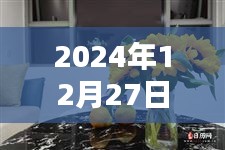 盆花热潮来袭，2024年12月27日精选文案