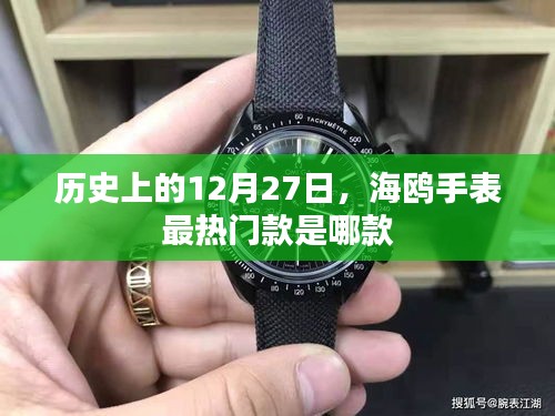 海鸥手表热门款回顾，历史上的经典之选