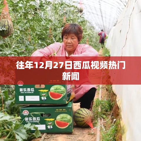 西瓜视频年终热点新闻回顾，往年12月27日盛况