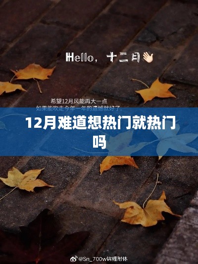 揭秘热点背后的秘密，为何十二月更易走红？