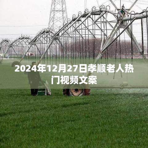 孝顺老人热门视频，关爱与陪伴的温暖时光