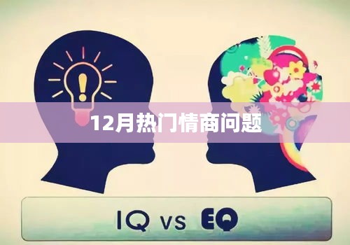 12月情商热点解析