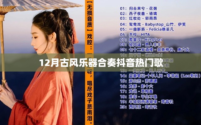 抖音热门古风乐器合奏，12月古风音乐盛宴