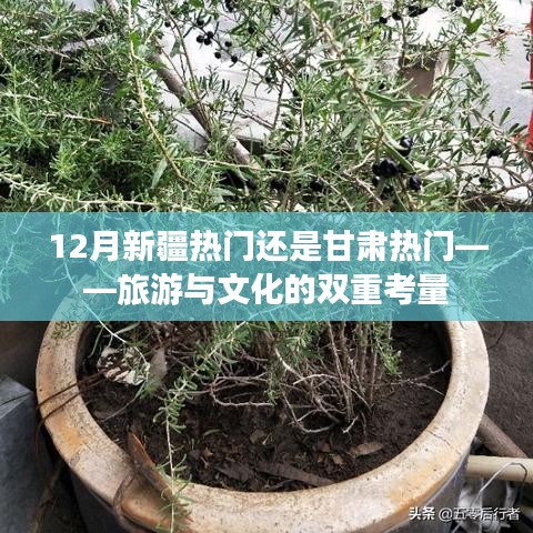 新疆与甘肃旅游文化热度对比，12月谁更受欢迎？