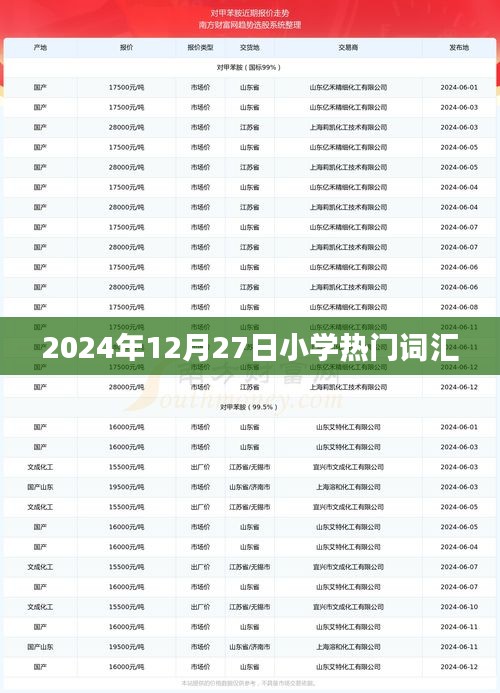 2024年小学流行词汇，趋势与热门词汇解析