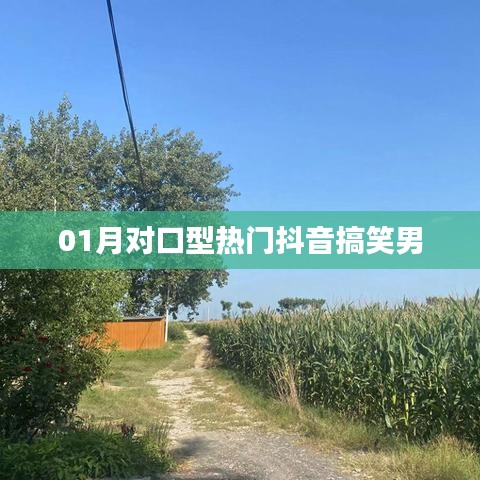 和为贵 第2页