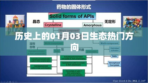 历史上的生态热门方向，一月三日回顾