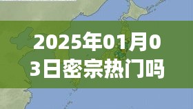 密宗趋势，揭秘热门密宗文化