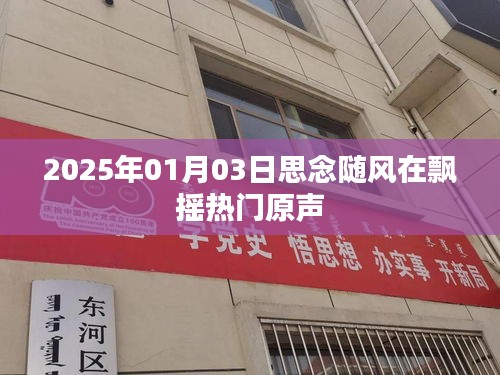 思念随风飘摇，热门原声旋律在时光中流转