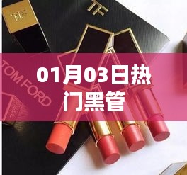 百鸟归巢 第2页