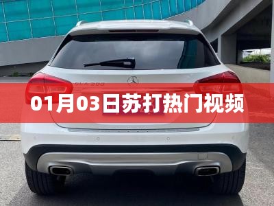 笼中之鸟 第2页