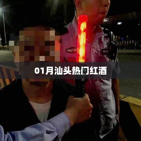 汕头一月热门红酒榜单