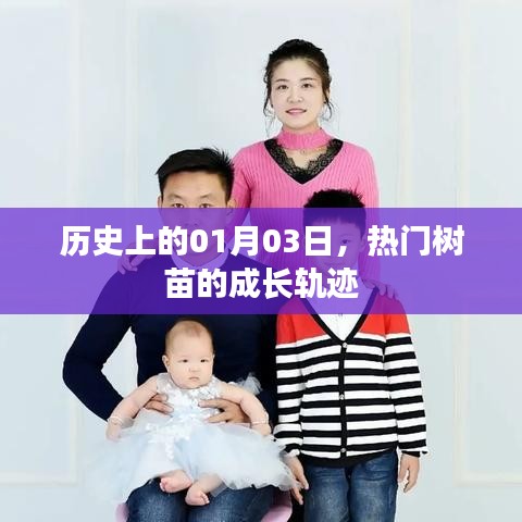 热门树苗成长轨迹，历史一月三日回顾