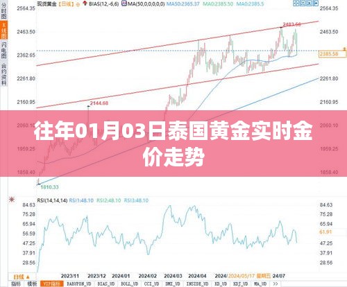 泰国黄金实时金价走势分析（历年1月3日数据）