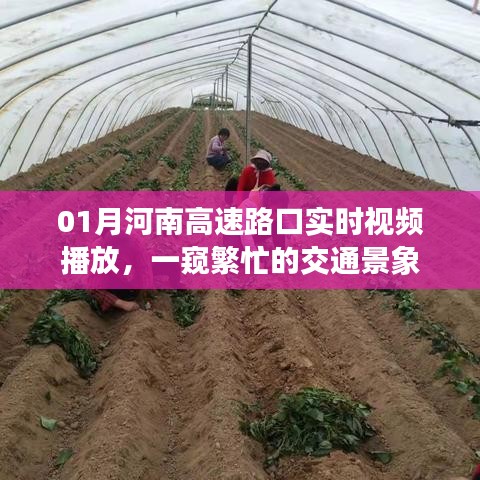 行业新闻 第160页