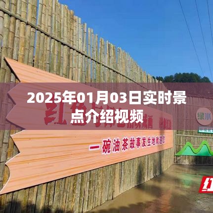 『2025年景点探秘，实时介绍视频』