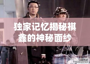 不飞则已 第2页