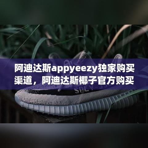 神气十足 第2页