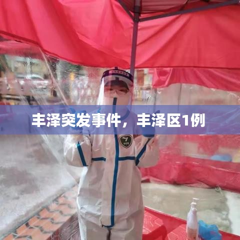 法不阿贵 第2页