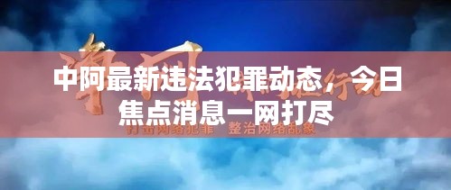 中阿最新违法犯罪动态，今日焦点消息一网打尽