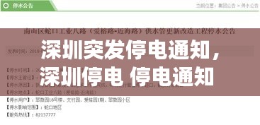 项目介绍 第155页
