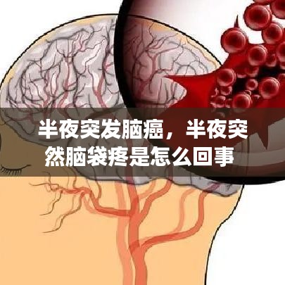 独学寡闻 第2页