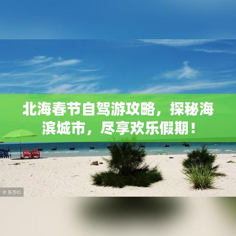 虎背熊腰 第2页