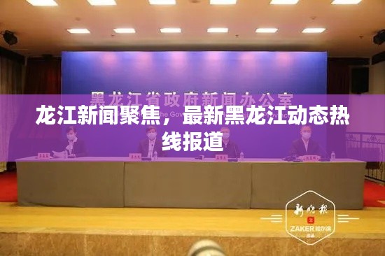 龙江新闻聚焦，最新黑龙江动态热线报道
