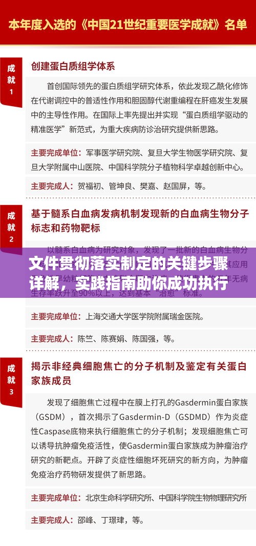 文件贯彻落实制定的关键步骤详解，实践指南助你成功执行！