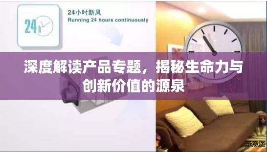 深度解读产品专题，揭秘生命力与创新价值的源泉