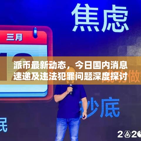 派币最新动态，今日国内消息速递及违法犯罪问题深度探讨