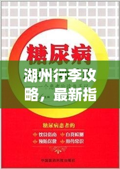 项目介绍 第133页