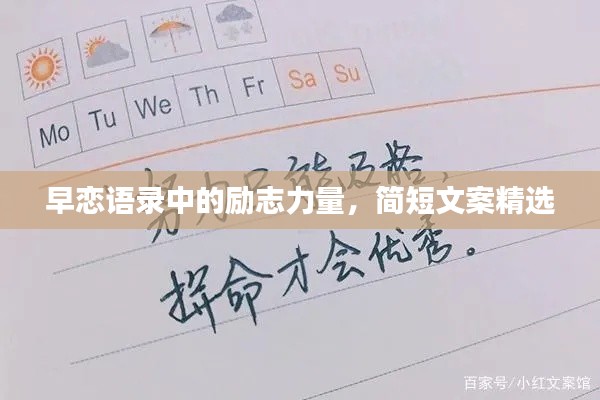 雍容华贵 第2页