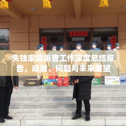 失独家庭排查工作深度总结报告，成效、问题与未来展望