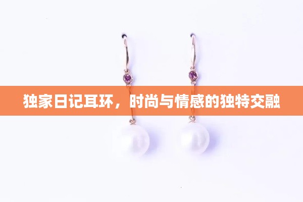 独家日记耳环，时尚与情感的独特交融