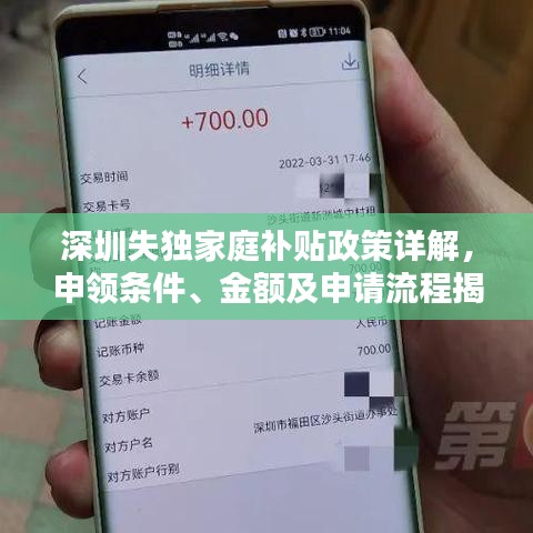 深圳失独家庭补贴政策详解，申领条件、金额及申请流程揭秘！