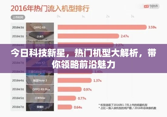 粗枝大叶 第2页