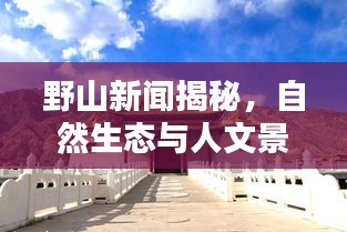 野山新闻揭秘，自然生态与人文景观的最新动态揭秘