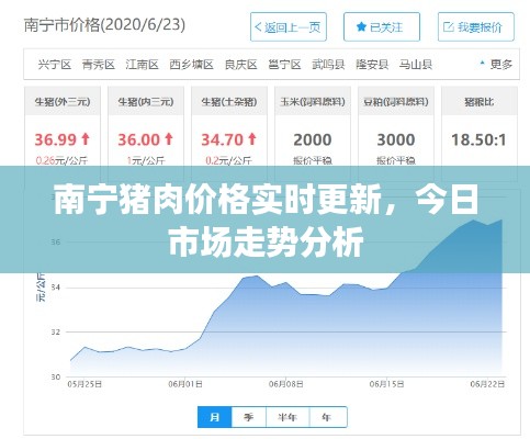 纲举目张 第2页