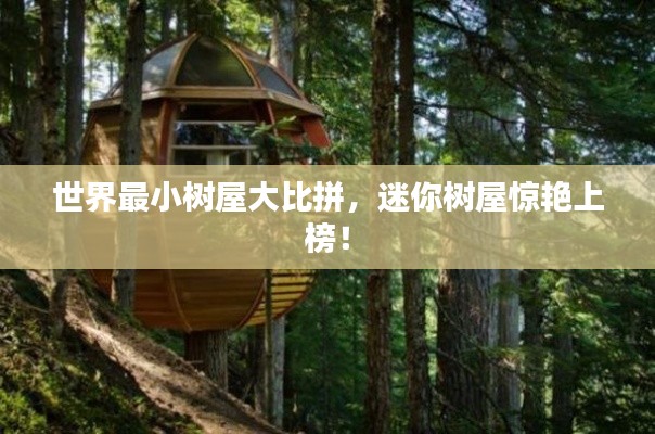 世界最小树屋大比拼，迷你树屋惊艳上榜！