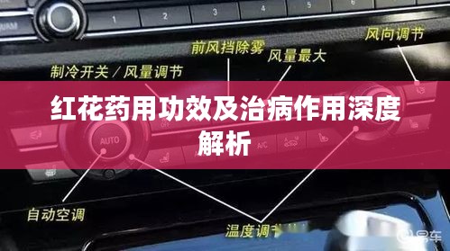 红花药用功效及治病作用深度解析