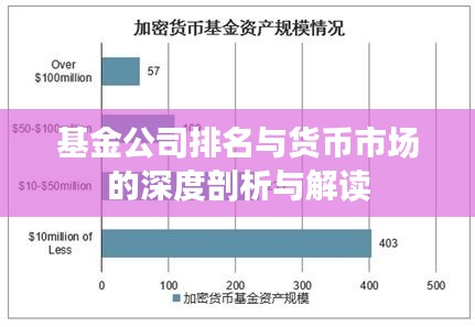 基金公司排名与货币市场的深度剖析与解读