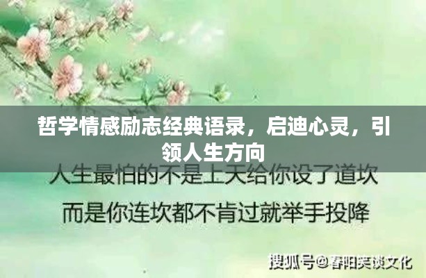 哲学情感励志经典语录，启迪心灵，引领人生方向