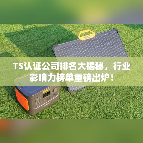 TS认证公司排名大揭秘，行业影响力榜单重磅出炉！